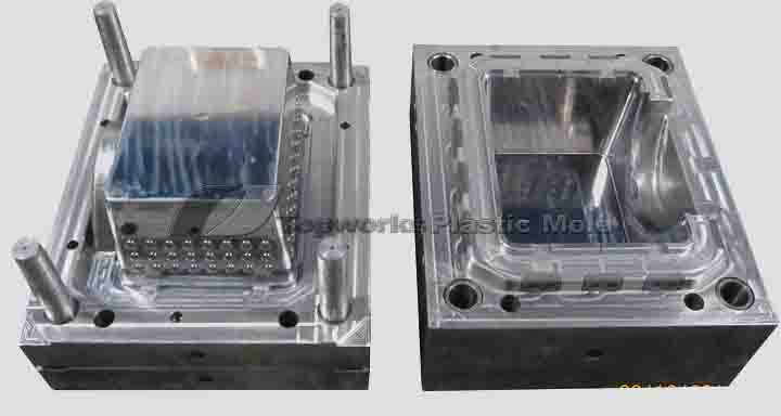 China Consumer Appliance Plastic Mold maker,company and exporter 5